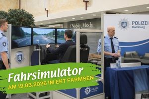 Fahrsimulator 2